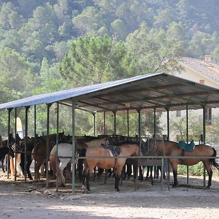 Alojamientos Rural Tejerina Arroyo Frio Esterno foto