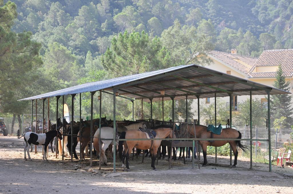Alojamientos Rural Tejerina Arroyo Frio Esterno foto